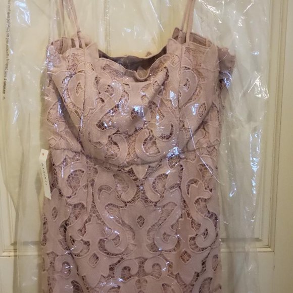 NEW Size 8 (med)  BARDOT Rose Pink Lina Lace Sheath Dress - Picture 4 of 7